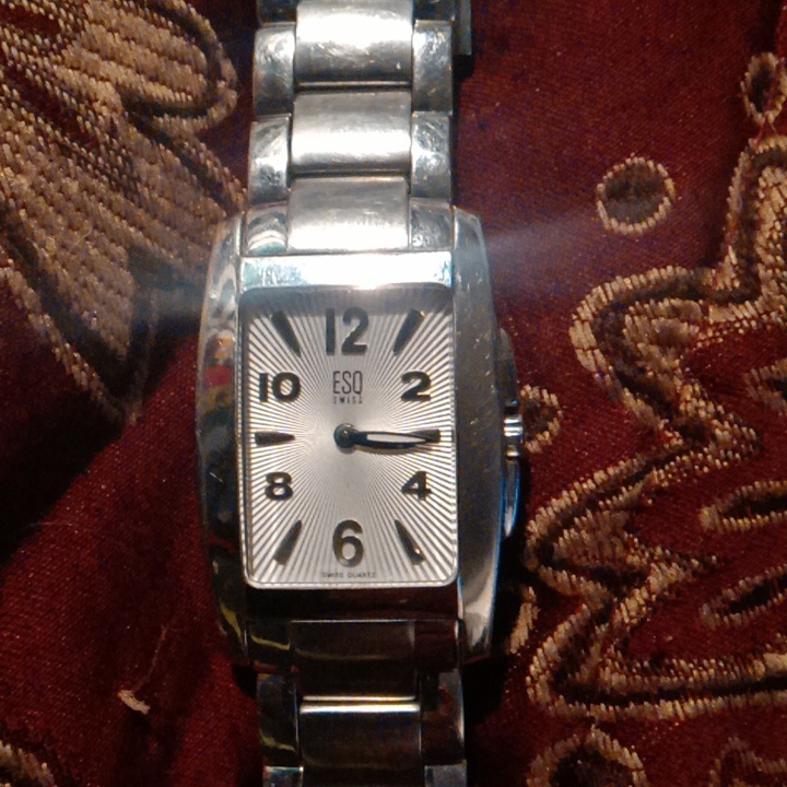 Esq Swiss Watch